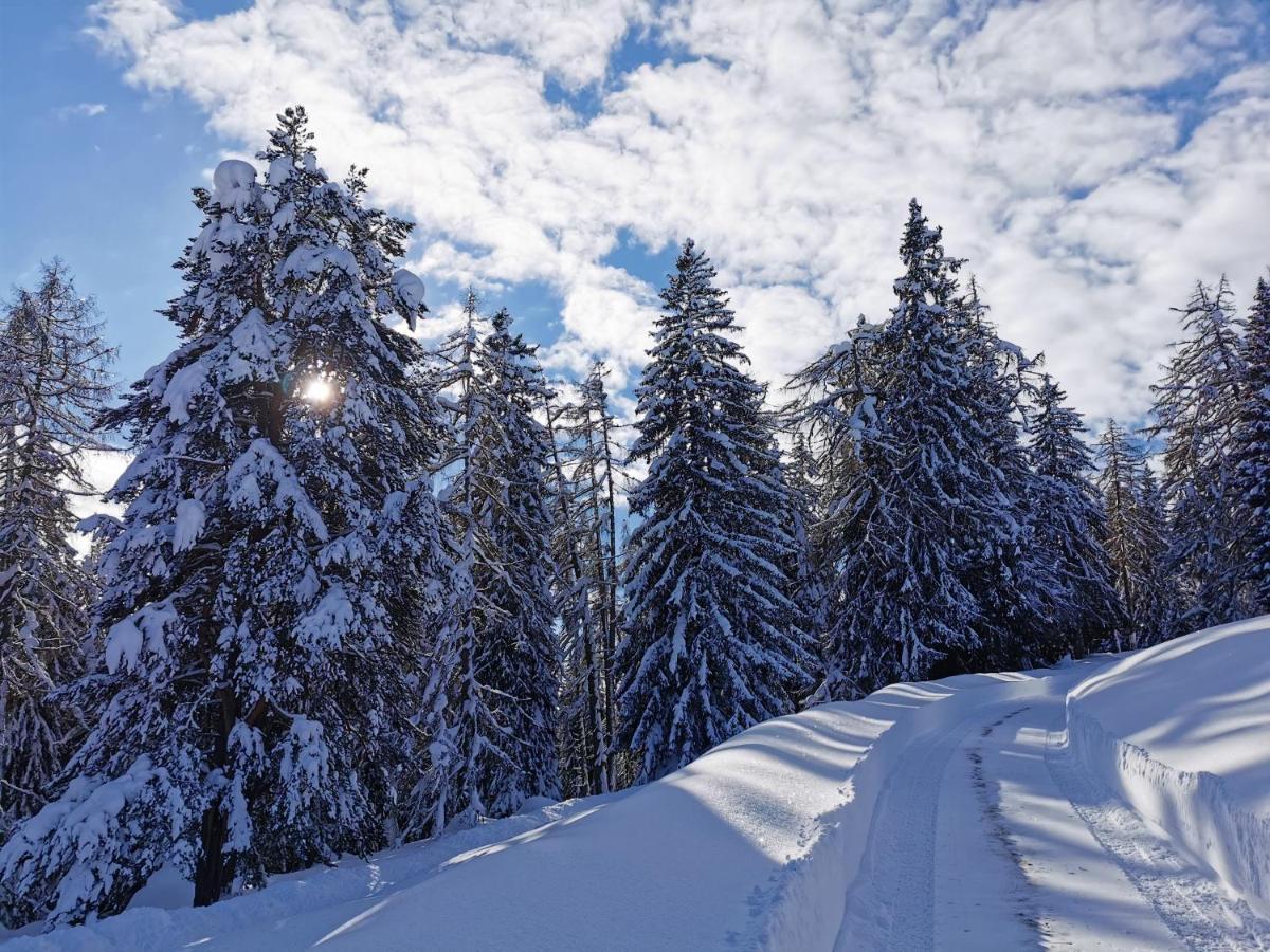 Ferienhaeuser Troester Bad Kleinkirchheim Bagian luar foto