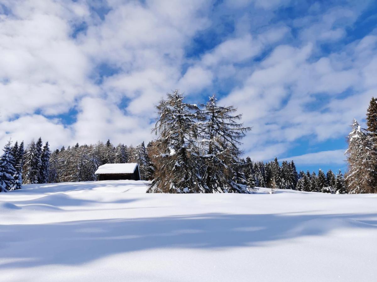 Ferienhaeuser Troester Bad Kleinkirchheim Bagian luar foto