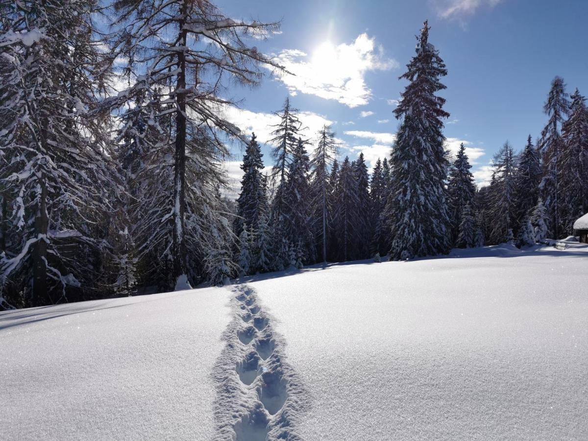 Ferienhaeuser Troester Bad Kleinkirchheim Bagian luar foto