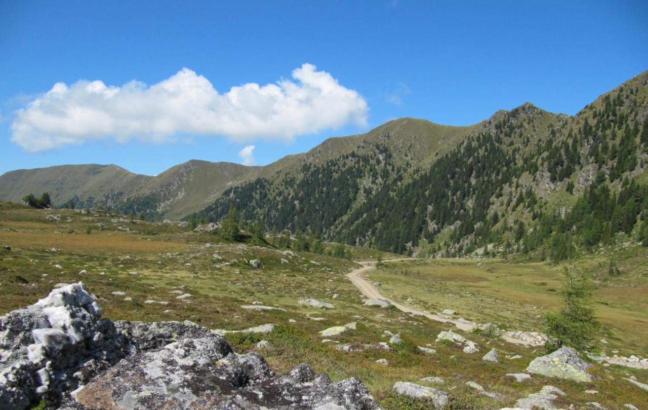 Ferienhaeuser Troester Bad Kleinkirchheim Bagian luar foto