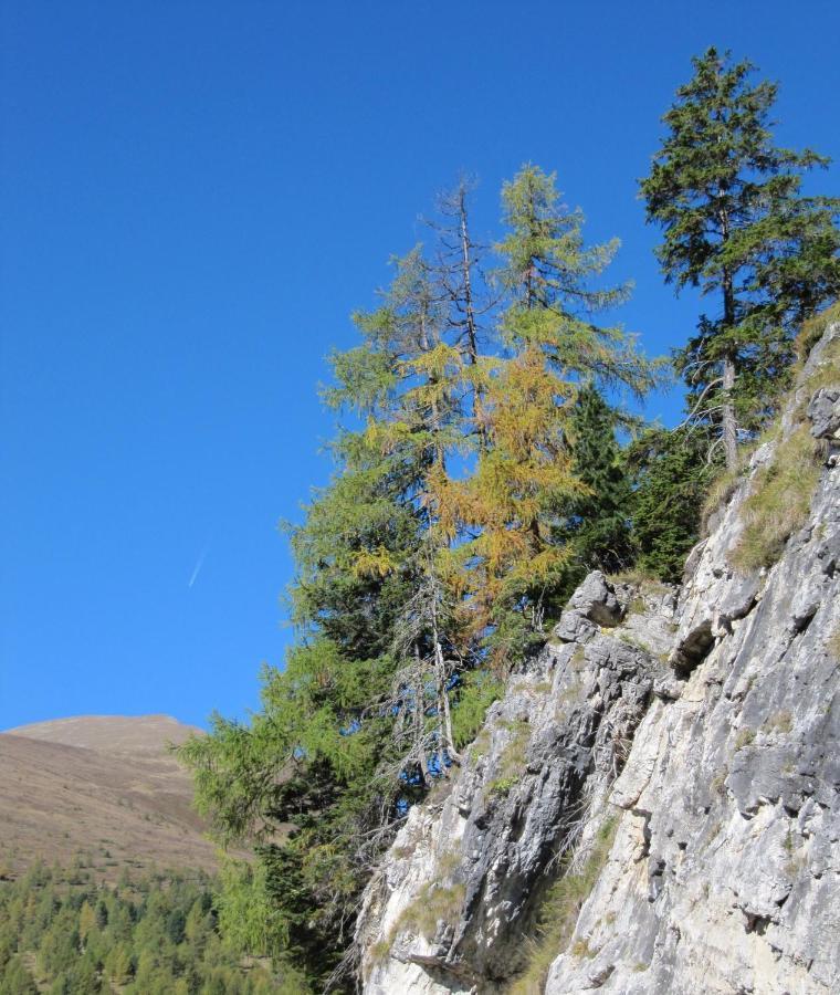 Ferienhaeuser Troester Bad Kleinkirchheim Bagian luar foto