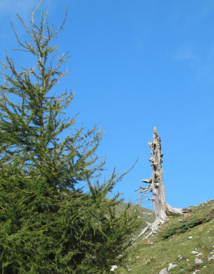 Ferienhaeuser Troester Bad Kleinkirchheim Bagian luar foto