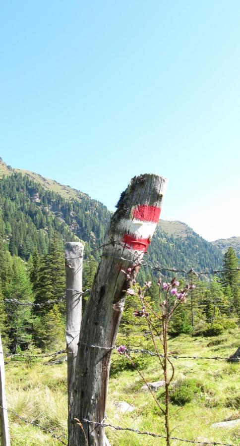 Ferienhaeuser Troester Bad Kleinkirchheim Bagian luar foto