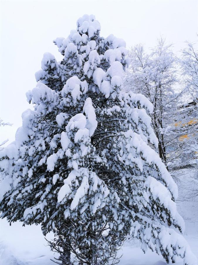 Ferienhaeuser Troester Bad Kleinkirchheim Bagian luar foto