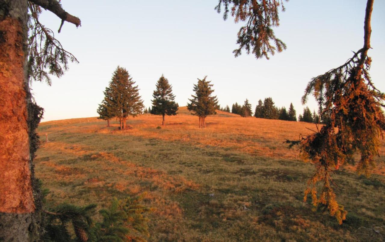 Ferienhaeuser Troester Bad Kleinkirchheim Bagian luar foto