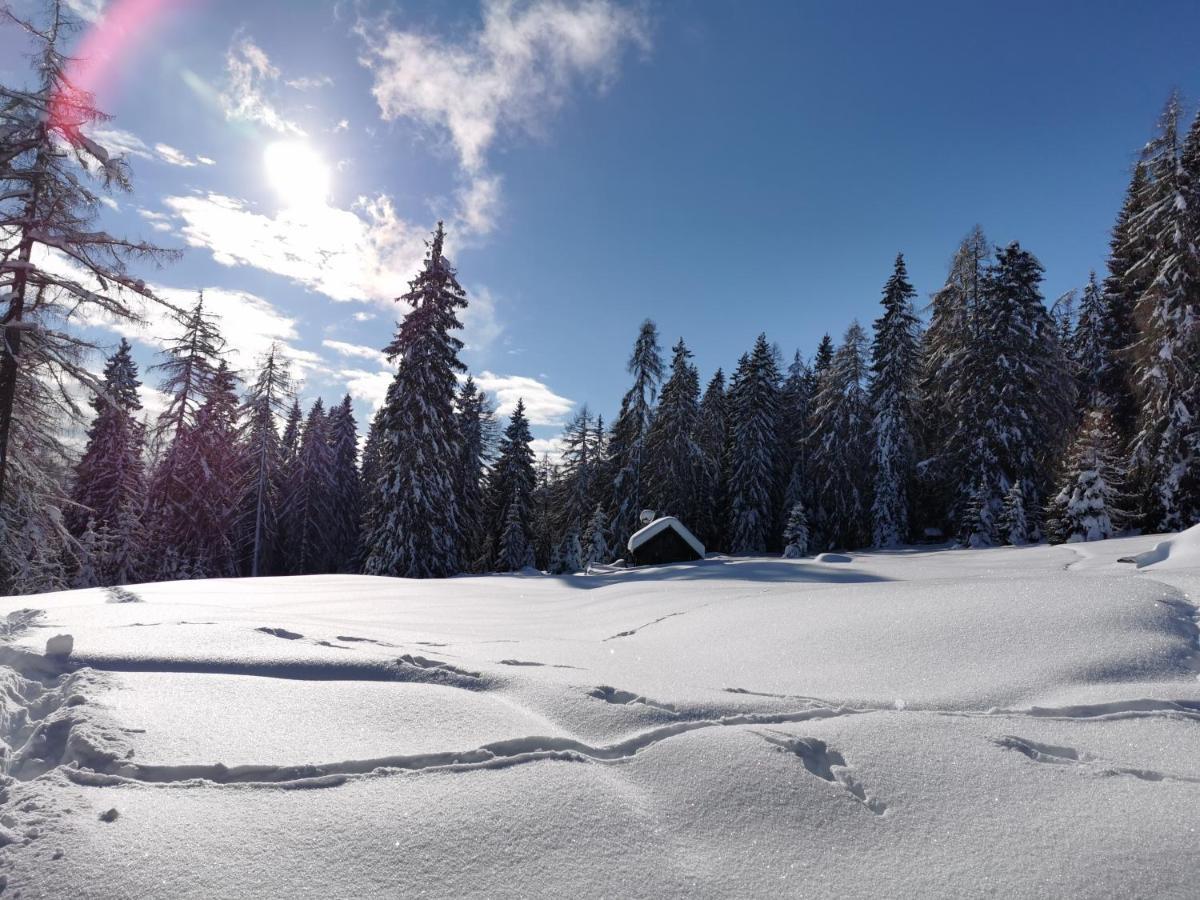 Ferienhaeuser Troester Bad Kleinkirchheim Bagian luar foto