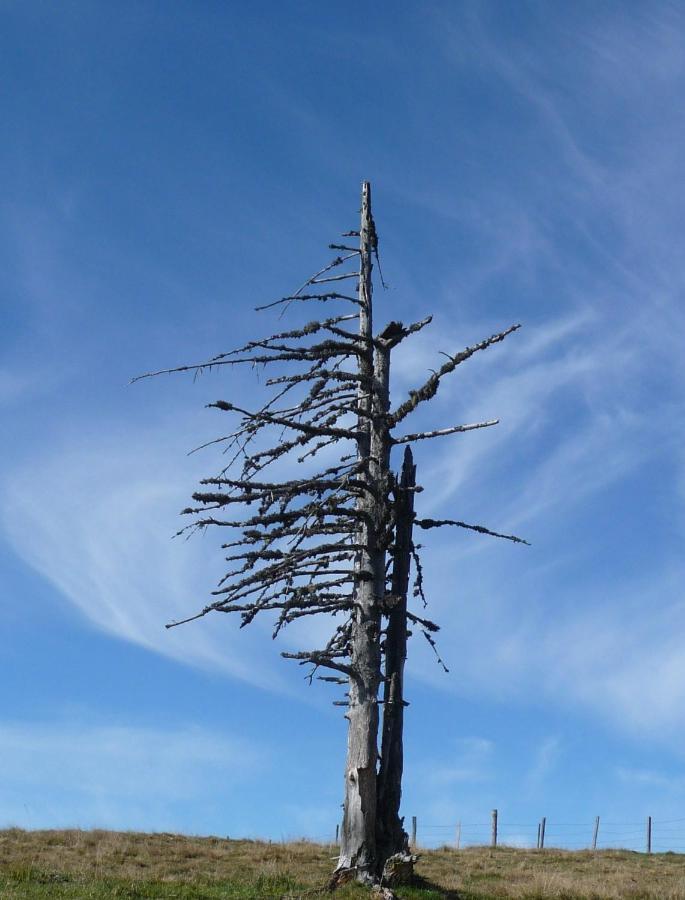 Ferienhaeuser Troester Bad Kleinkirchheim Bagian luar foto
